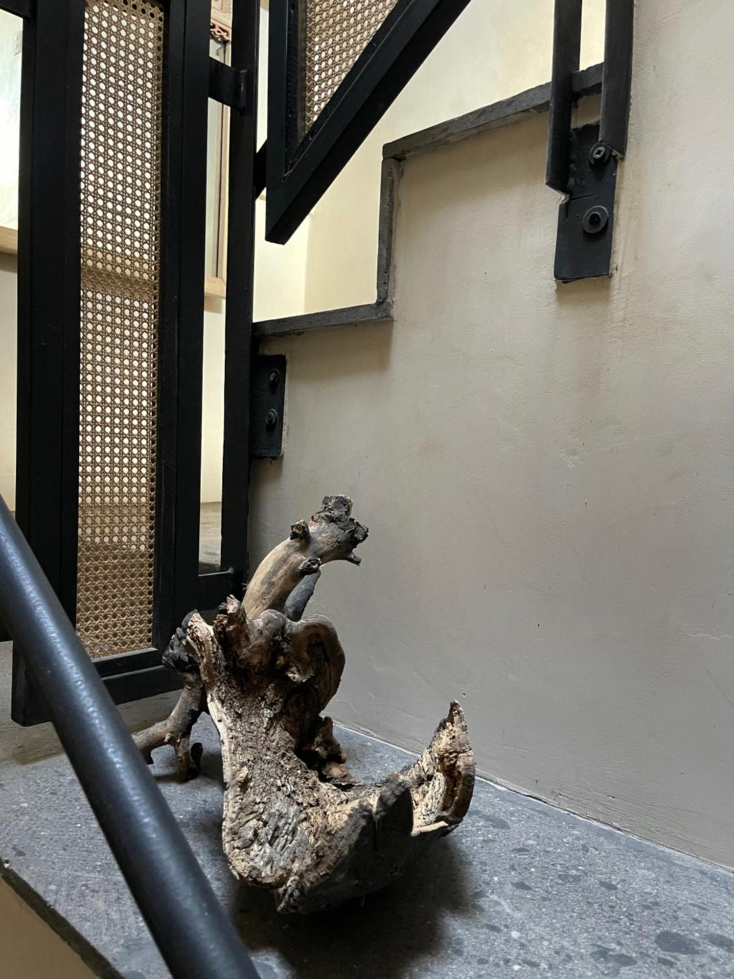 Casa Realm Hotel Querétaro Kültér fotó